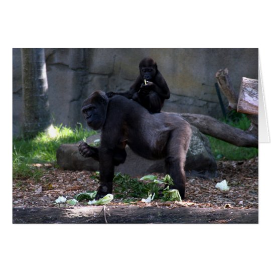 gorilla back card