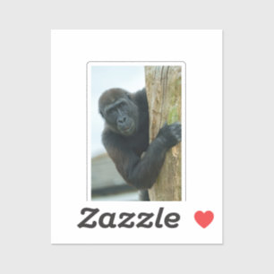 Gorilla Behind The Tree