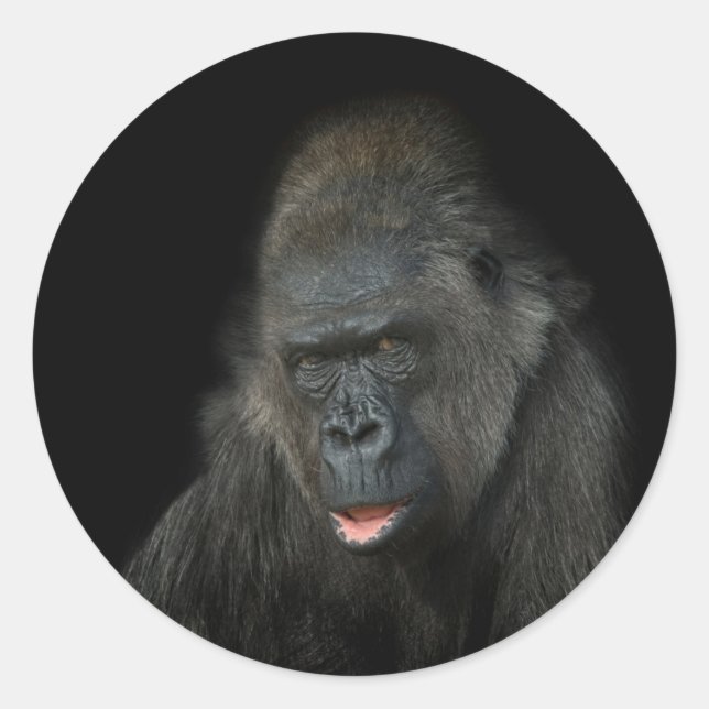 Gorilla Biddy Classic Round Sticker (Front)