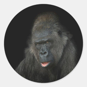 Gorilla Biddy Classic Round Sticker