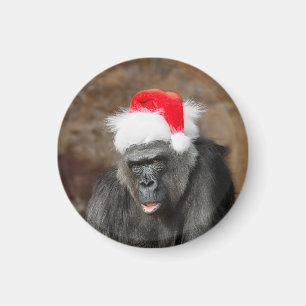 Gorilla Biddy in a Festive Christmas Hat Magnet
