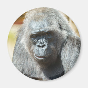 Gorilla Biddy Magnet