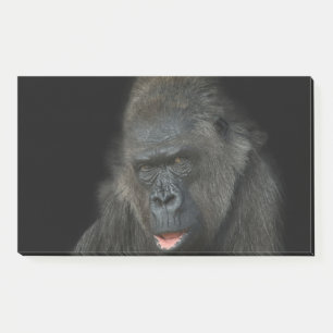 Gorilla Biddy Post-it Notes