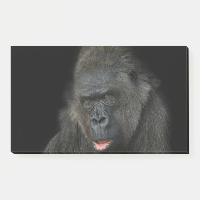 Gorilla Biddy Post-it Notes (Front)