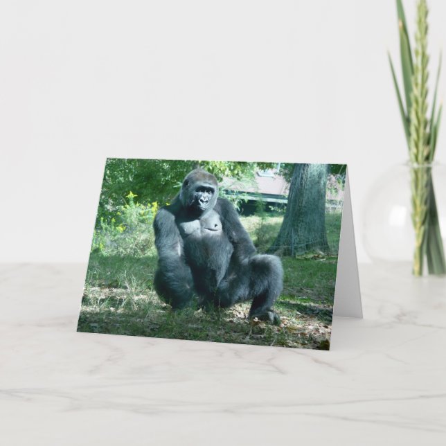 Gorilla Blank Greeting Card (Front)