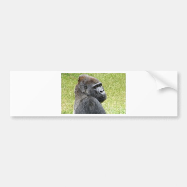 Gorilla Bumper Sticker (Front)