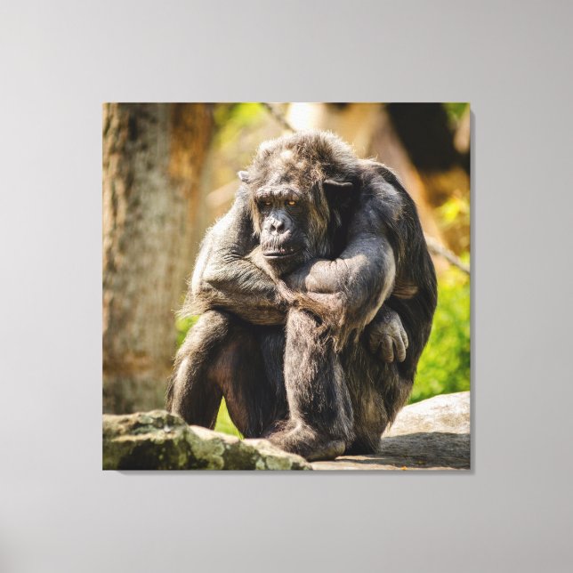 Gorilla Canvas Print (Front)