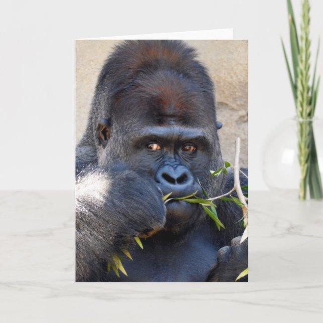 Gorilla Card (Front)