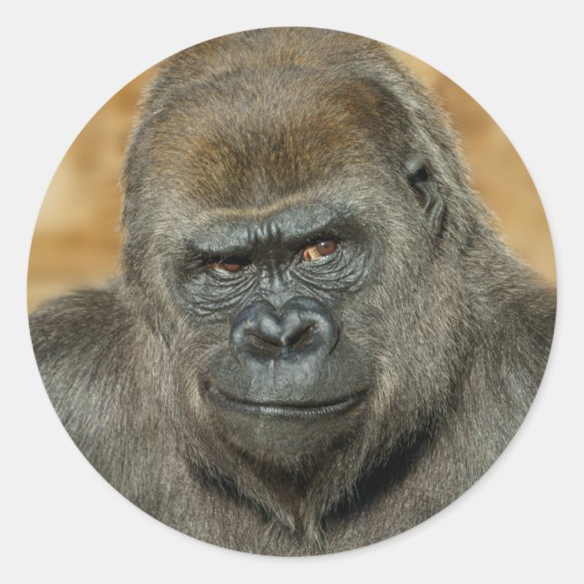 Gorilla Classic Round Sticker (Front)