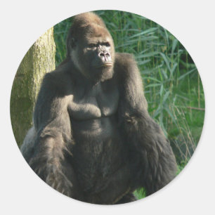 Gorilla Classic Round Sticker