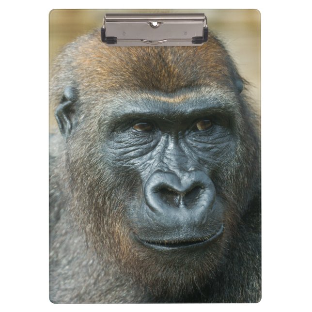 Gorilla Clipboard (Front)