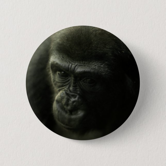Gorilla Closeup.png 2 Inch Round Button (Front)