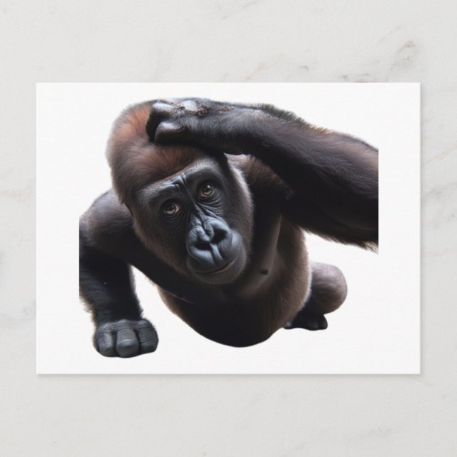 Gorilla doing push-ups. postcard (Front)