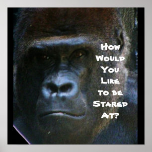 GORILLA DON'T STARE AT ME poster