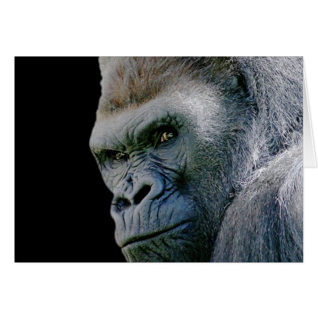 Gorilla en colère (Devant horizontal)