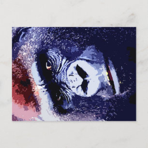 Gorilla Face Postcard
