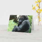 Gorilla Glare Greeting Card (Yellow Flower)