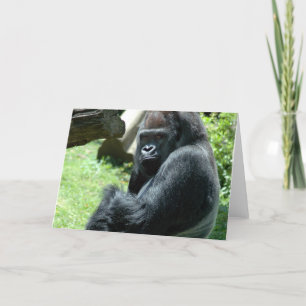 Gorilla Glare Greeting Card