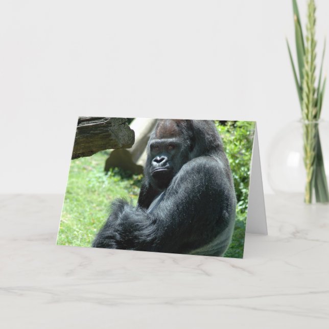 Gorilla Glare Greeting Card (Front)