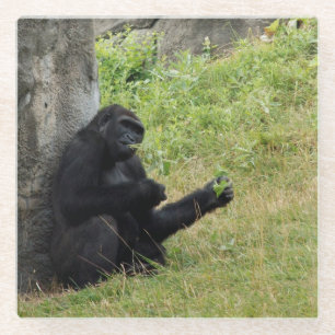 Gorilla Glass Coaster