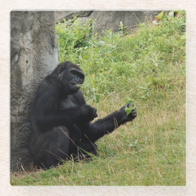 Gorilla Glass Coaster (Front)