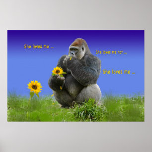 Gorilla in Love Print or Poster