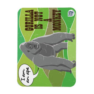 Gorilla is not a monkey magnet