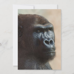 Gorilla Lope Close-up Holiday Card