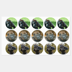 Gorilla Lope (Round Design)