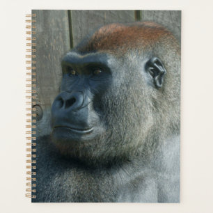 Gorilla Lope & Shufai
