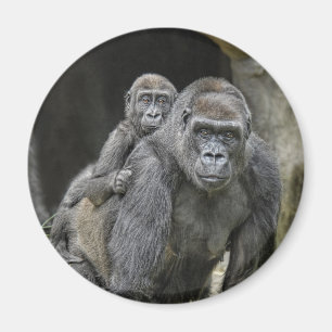 Gorilla & Magnet bébé