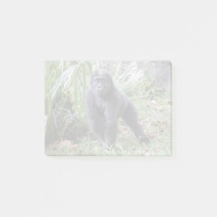 Gorilla Moke at the National Zoo Post-it Notes