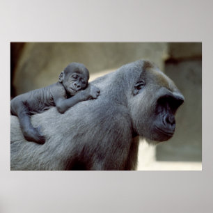 Gorilla Mother and Baby Poster