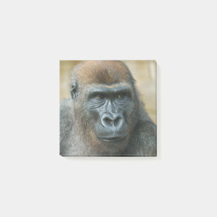 Gorilla Paper Post-it Notes