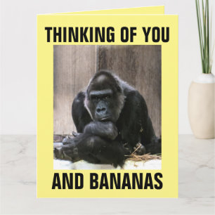 GORILLA PENSANT À VOUS DES CARTES DE SALUT