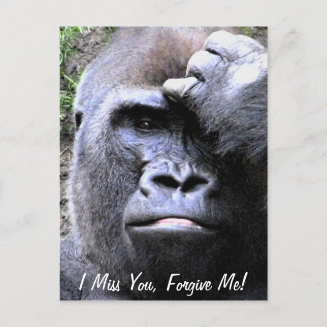 Gorilla_ Postcard (Front)
