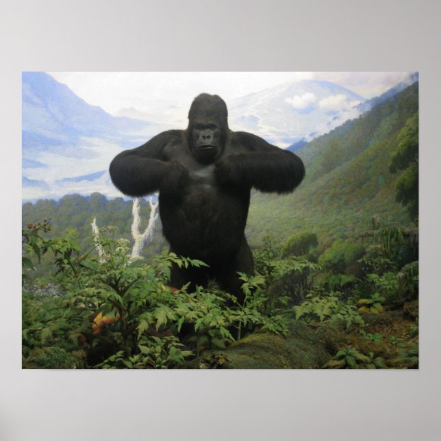 Gorilla Poster (Front)