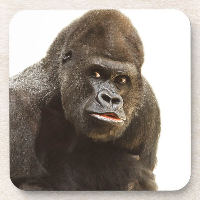 Gorilla Pout Coaster (Front)