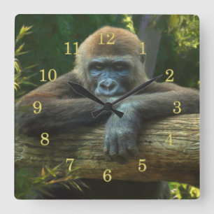 GORILLA  “SAVE OUR SPECIES” SQUARE WALL CLOCK