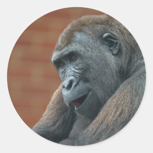 Gorilla Shufai Classic Round Sticker (Front)