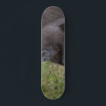 Gorilla Skateboard<br><div class="desc">Gorilla</div>