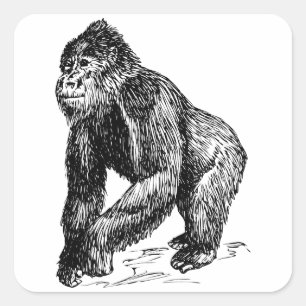 Gorilla Square Sticker