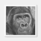 Gorilla sucking fingers Magnet2 FINGER SUCKING GOR