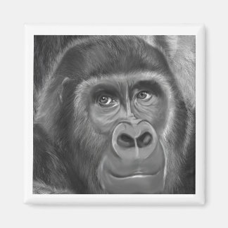 Gorilla sucking fingers Magnet2 FINGER SUCKING GOR Magnet