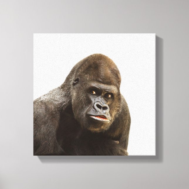 Gorilla wild jungle zoo animal photo canvas print (Front)