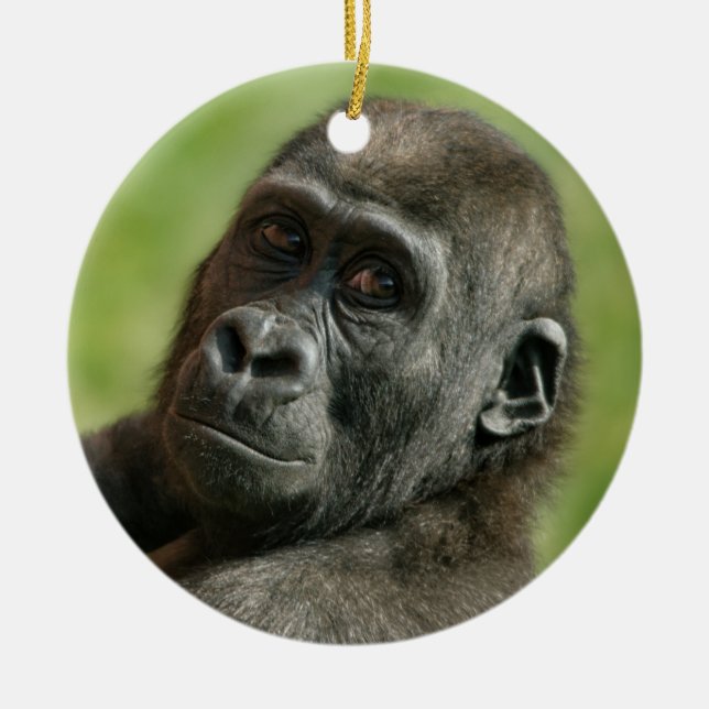 Gorilla Youngster Ceramic Ornament (Front)