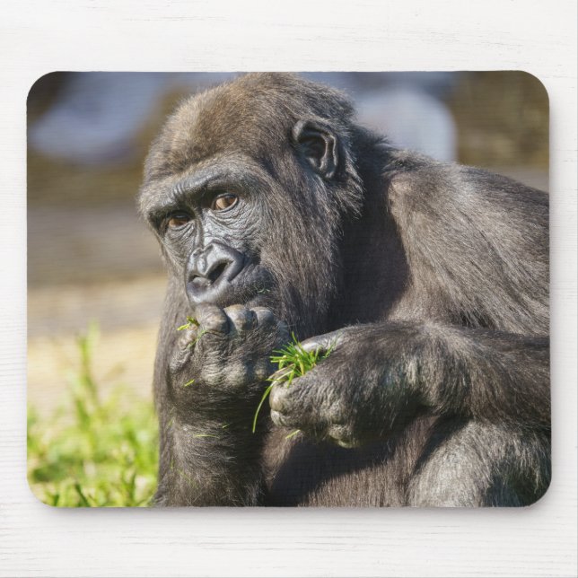 Gorilla Youngster Mouse Pad (Front)