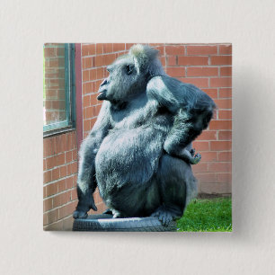 GORILLAS 2 INCH SQUARE BUTTON