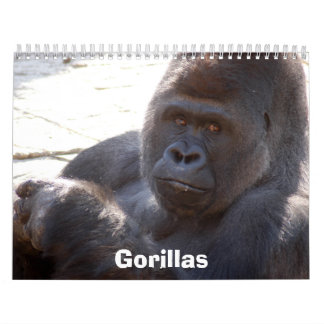 Gorillas Calendar, Gorillas Calendar