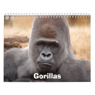 Gorillas Calendar, Gorillas Calendar